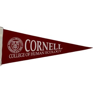 Cornell Human Ecology Pennant 9x24