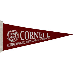 Cornell Agriculture and Life Sciences Pennant 9x24