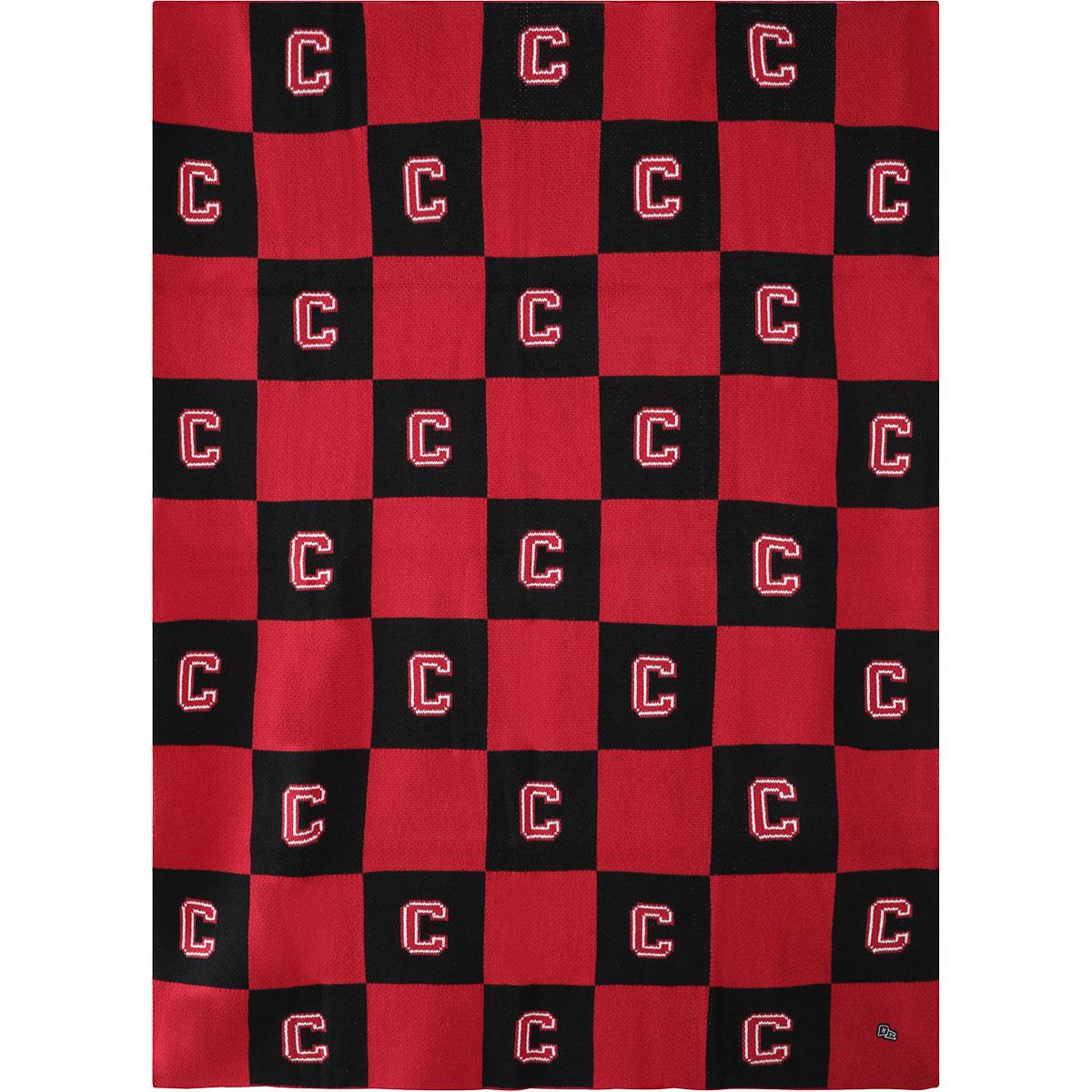 Cornell Block C Intarsia Blanket