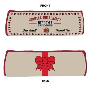 Cornell Diploma Dog Toy