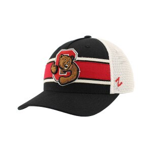 Bear Through C Vintage Mesh Back Cap