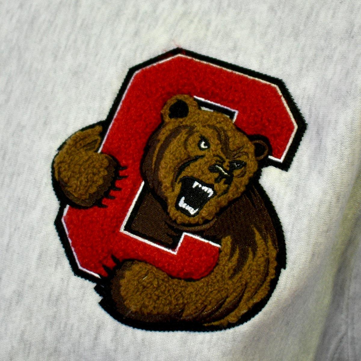 Closeup image of chenille patch