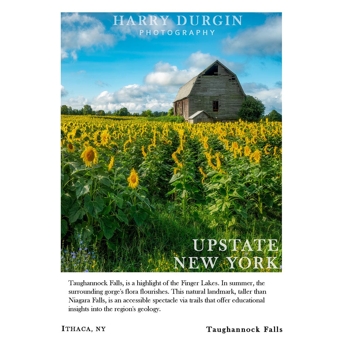 Cornell Photo Note Card Durgin Taug