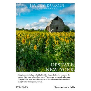 Cornell Photo Note Card Durgin Taughannock