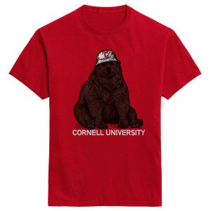 Summer Lovin' Brown Bear Tee