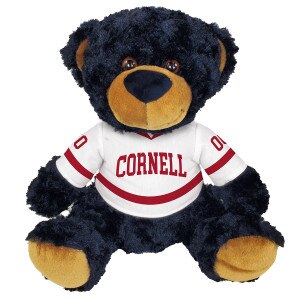 Cornell Hockey Jersey Teddy Bear