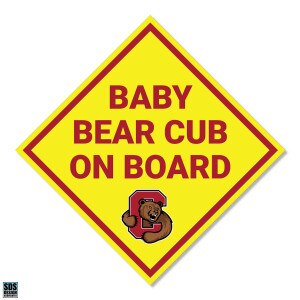 Baby Bear Cub on Board 6” Magnet