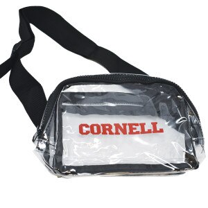 Cornell Cross Body Clear Buckle Bag