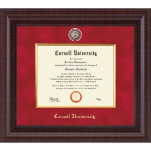 Presidential Premier Red Suede Diploma Frame