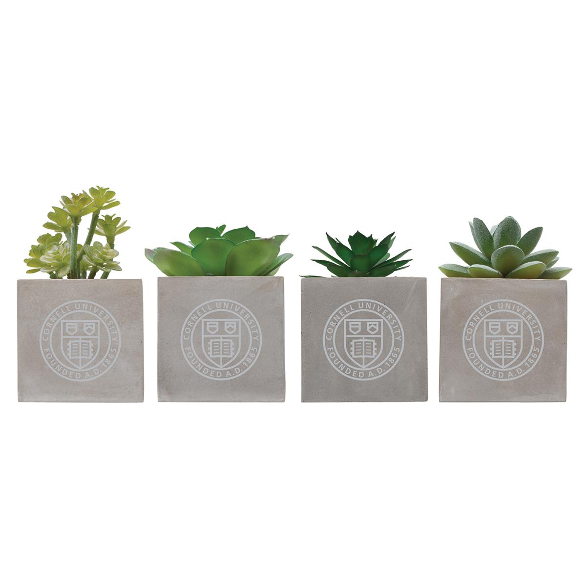 succulent wreath live Succulent Wreath Workshop