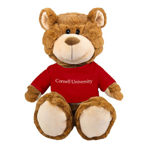 Crinkle Bear with Cornell University Tee