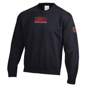 Cornell Lines w/ Bear Through C Sleeve Crew