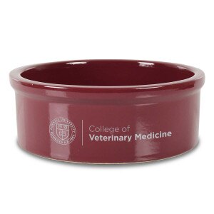 Cornell College of Veterinary Medicine Stoneware Pet Bowl- Medium