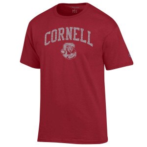 Champion Tonal Bear Through C Tee