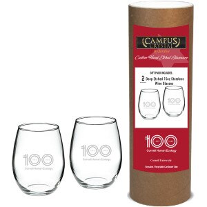 Cornell Human Ecology 100 Year Stemless Wine Glass Set