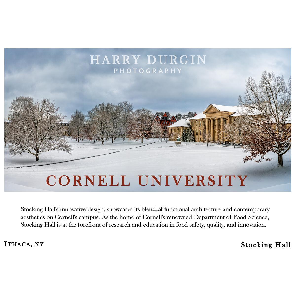 Cornell Photo Note Card Durgin Stoc