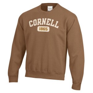 Cornell Felt Letter Arch Over 1865 Crew