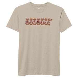League Vintage Cornell Line Bear Tee