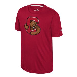 Youth Bear Through C Performance Tee