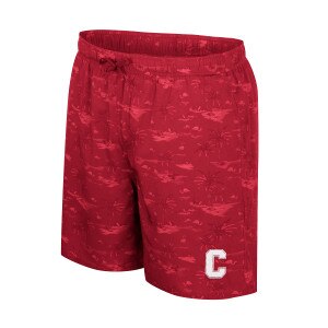 Block C Swim Short