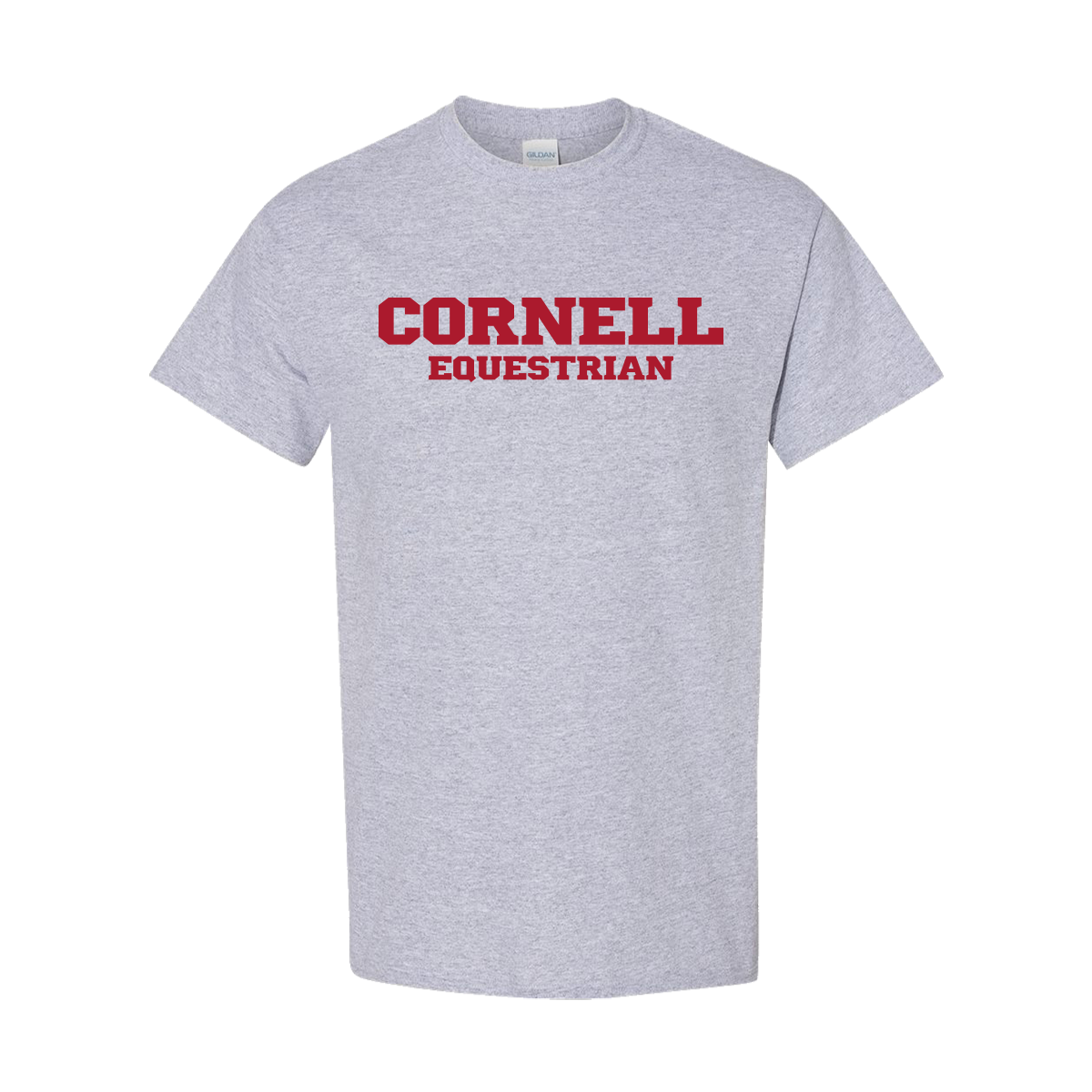 Cornell Equestrian with C - front