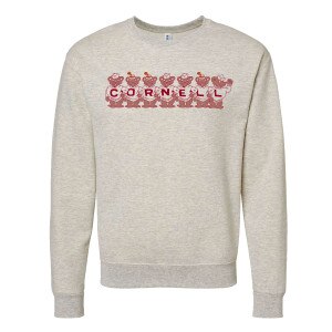 Cornell Sweater Bear Line Crew