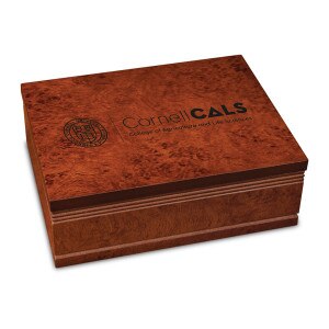Cornell CALS Finished Bureau Box
