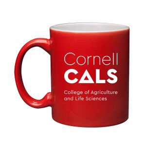 Cornell CALS 11oz Classic Etched Mug
