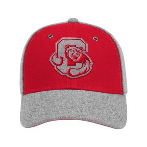 Bear Through C Wool Cap