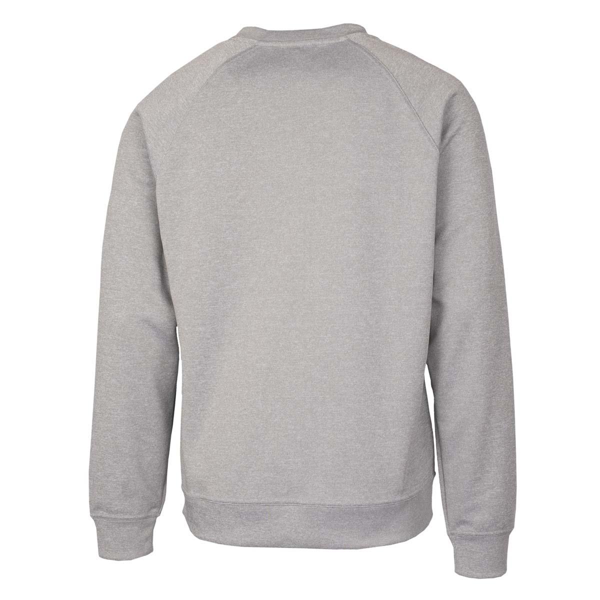 Cornell Veterinary Medicine grey