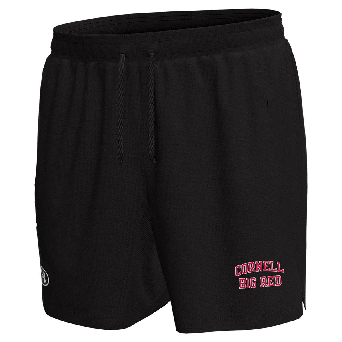 UA Cornell Big Red Mesh Short | Men