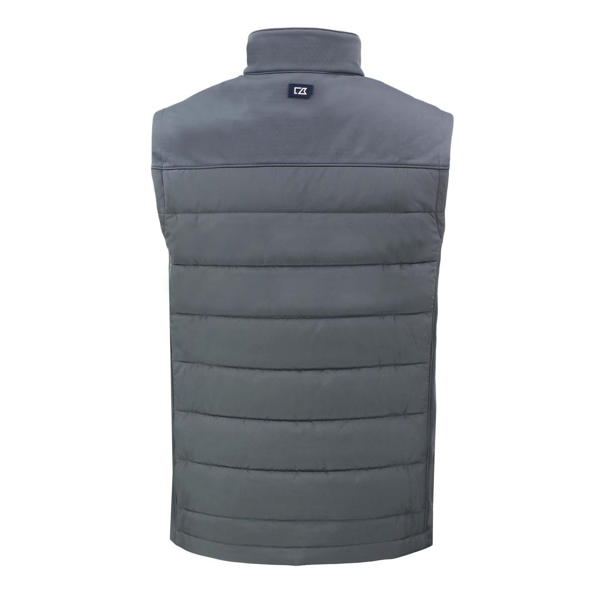 Cornell Veterinary Medicine grey