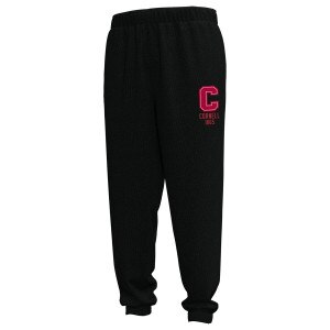 UA Cornell Gameday Pant