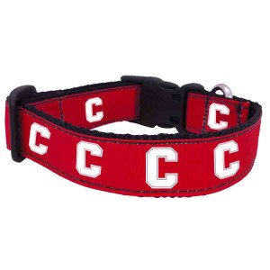 Cornell Block C Dog Collar Medium