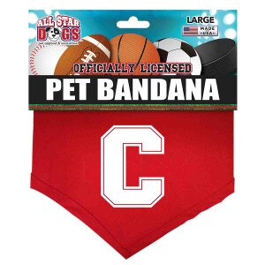 Cornell Block C Dog Bandana Small