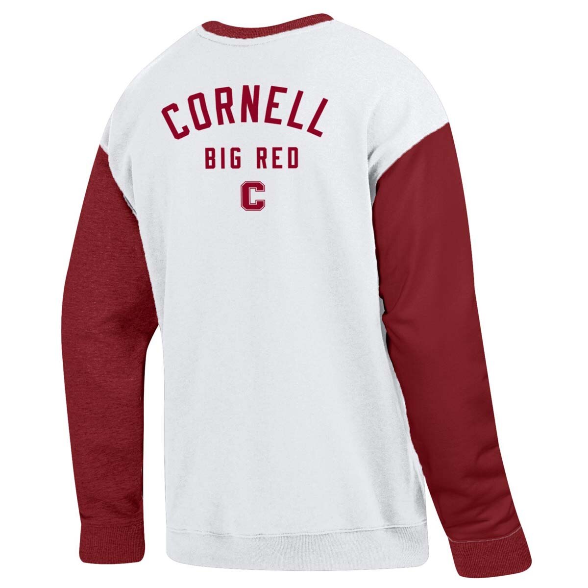 Champion Colorblock Cornell back