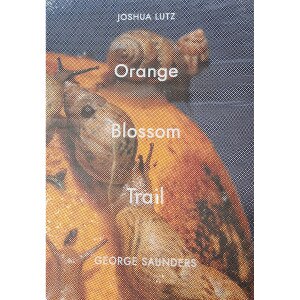 Lutz - Orange Blossom Trail