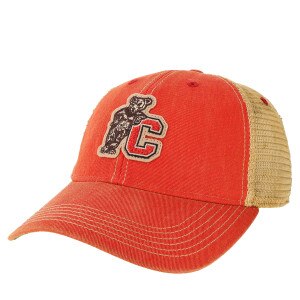 Bear Leaning on C Chenille Patch Ca