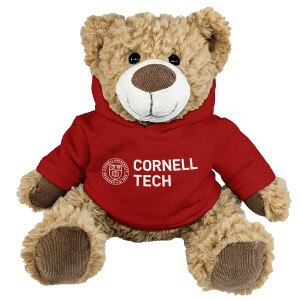 Cornell Tech Bear with Red Hood