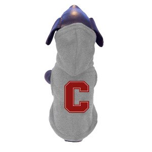 Bear Through C Dog Polar Hood