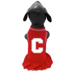 Cornell Block C Dog Dress