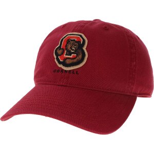 Bear Through C Felt Patch Cap
