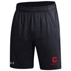 UA Block C Cornell Tech Short