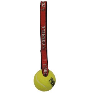 Pet Toss Toy
