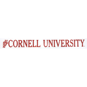 Bear With Cornell University Decal