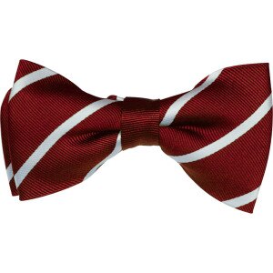 Smart Turnout Bow Tie - Stripe