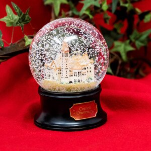 Cornell Deluxe Snow Globe
