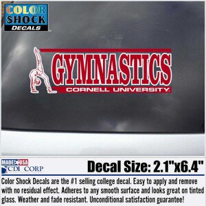 Decal - Gymnastics - Outside