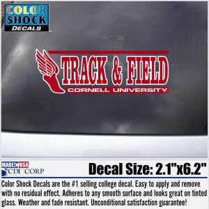 Type Decals