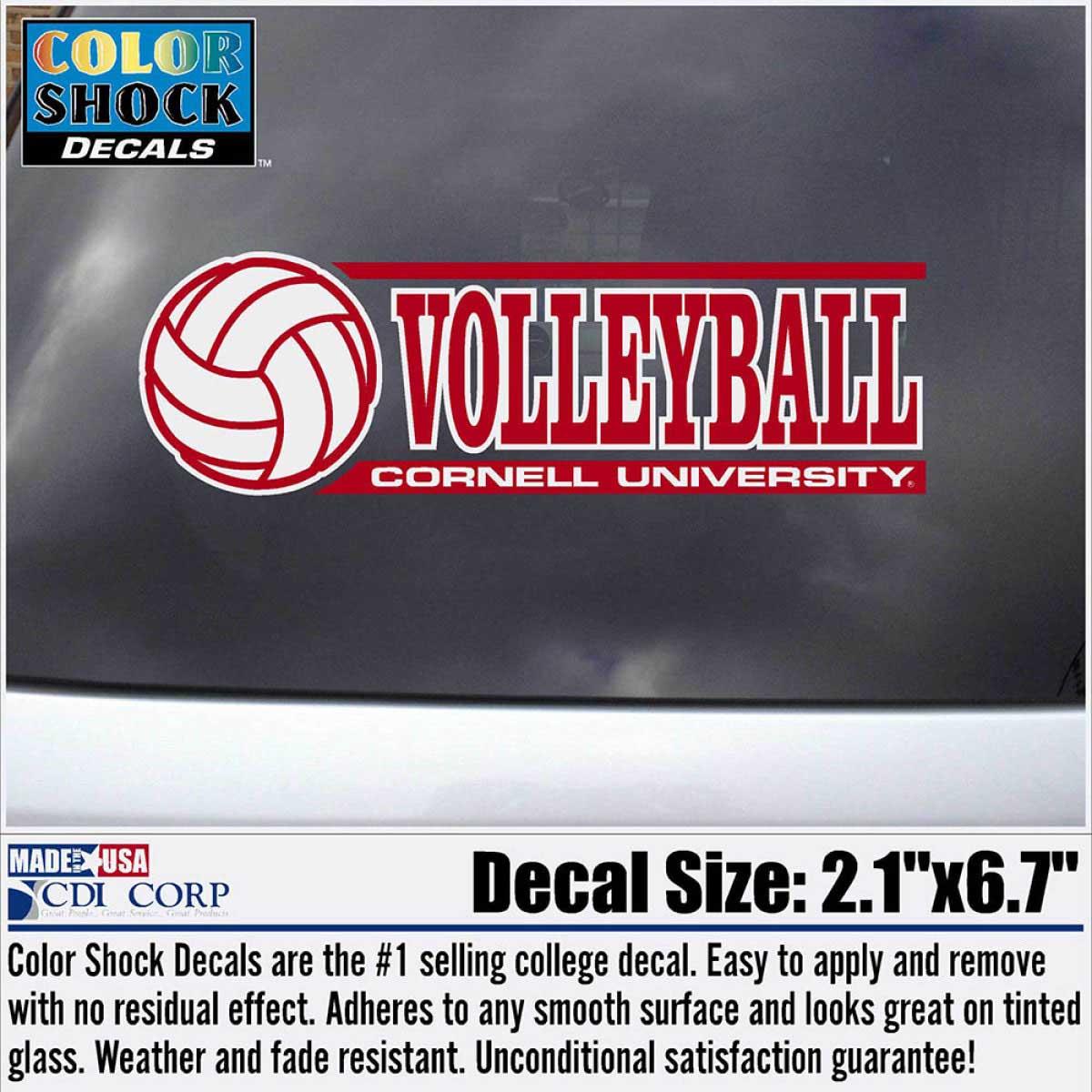 Decal - Volleyball - Outside